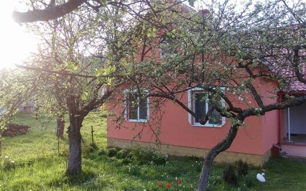 Любава