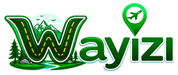 Wayizi