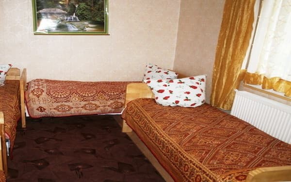 Економ тримісний